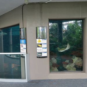 PPG Aquarium - The Open Ocean - Main Tank Upper Viewing Area