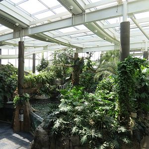 PPG Aquarium - Tropical Freshwater Rainforest - Overview