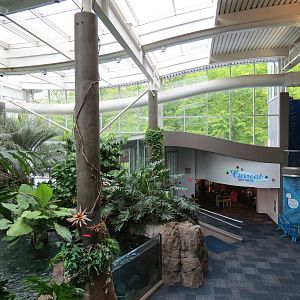 PPG Aquarium - Tropical Freshwater Rainforest - Overview
