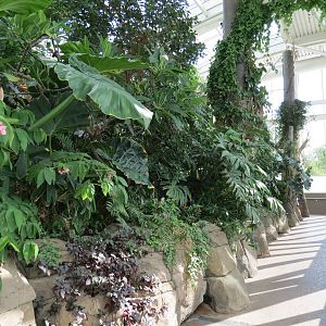 PPG Aquarium - Tropical Freshwater Rainforest - Path