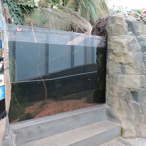 PPG Aquarium - Tropical Freshwater Rainforest - Red Belly Piranha Exhibit