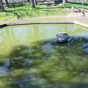 Old Verona Zoo - March 2013