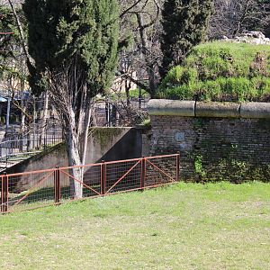 Old Verona Zoo - March 2013