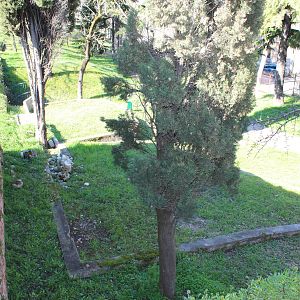Old Verona Zoo - March 2013