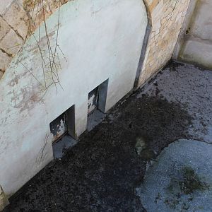 Old Verona Zoo - March 2013