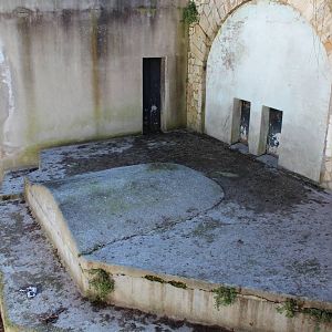 Old Verona Zoo - March 2013