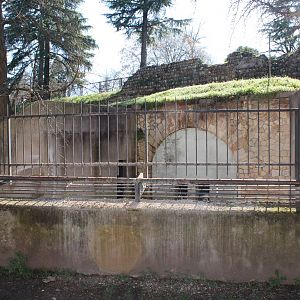 Old Verona Zoo - March 2013