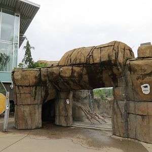 Water's Edge - Polar Bear Exhibit Upper Viewing Area
