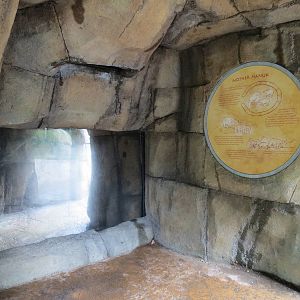 Water's Edge - Polar Bear Exhibit Viewing Cave