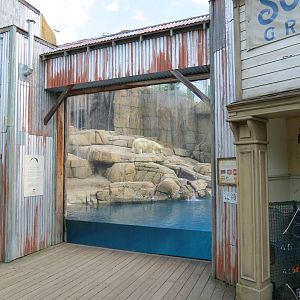 Water's Edge - Polar Bear Exhibit Viewing Window in Pier Town