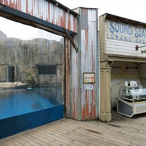Water's Edge - Polar Bear Exhibit Viewing Window in Pier Town