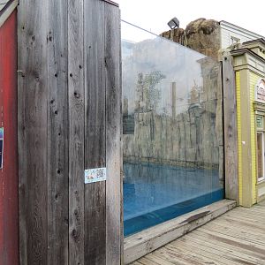 Water's Edge - Polar Bear Exhibit Viewing Window in Pier Town