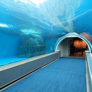 Water's Edge - Polar Bear Exhibit Underwater Tunnel
