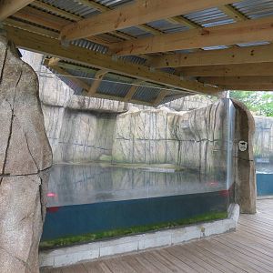 Water's Edge - First Sea Otter Exhibit
