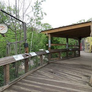 Water's Edge - Sea Otter Exhibit Viewing Boardwalk