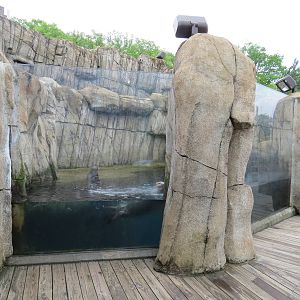 Water's Edge - Second Sea Otter Exhibit