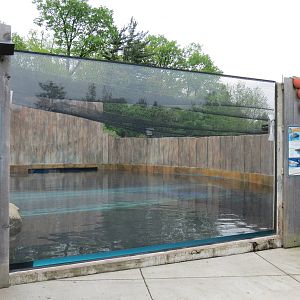 Water's Edge - Sand Tiger Shark Exhibit Surface Viewing Area