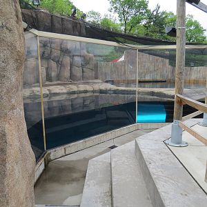 Water's Edge - Sand Tiger Shark Exhibit Surface Viewing Area