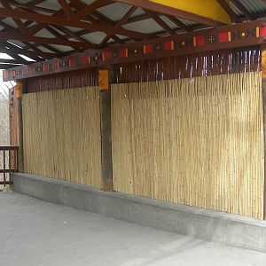 glass viewing for painted dogs boarded uo by bamboo sticks