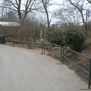 where the painted dog deck used to be