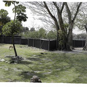 Hoofstock Full exhibit