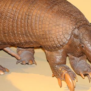 Giant armadillo