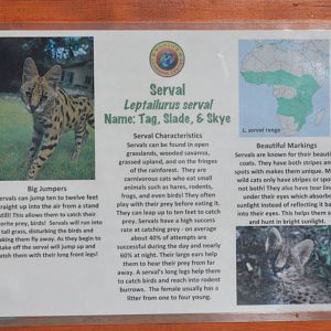 Serval Signage