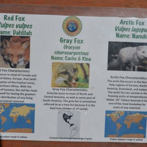 Red Fox, Gray Fox, Arctic Fox Signage
