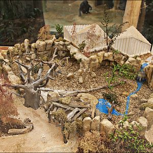 Model of the chimp enclosure at Hannover