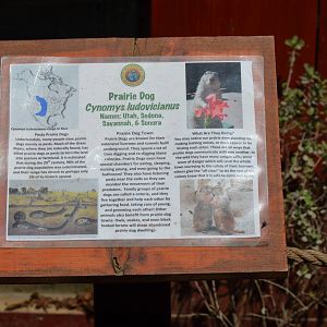 Prairie Dog Signage
