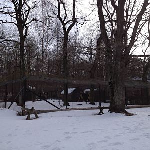 Demoiselle and Siberian crane enclosures