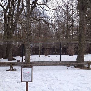 Demoiselle and Siberian crane enclosures