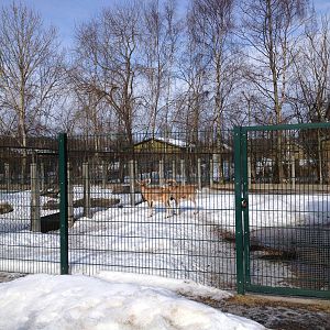 Tallinn Zoo
