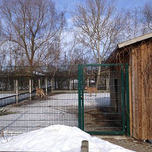 Tallinn Zoo