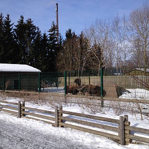 Tallinn Zoo