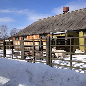 Tallinn Zoo