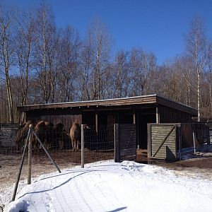 Tallinn Zoo
