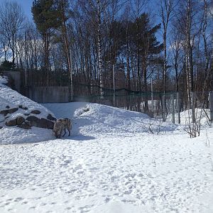 Tallinn Zoo
