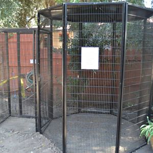 Future Squirrel Enclosure