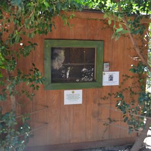 Two-toed Sloth Indoor Viewing Area