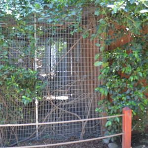 Kinkajou and Sloth Mixed Exhibit
