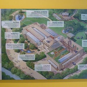 Layout of Elephant Trails