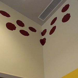 Footprints on Elephant Community Center Wall