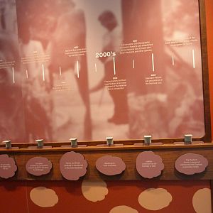 Elephants at the Zoo History