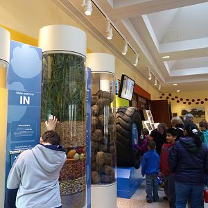 What Goes In...Goes Out