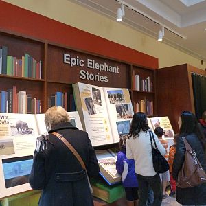 Epic Elephant Stories/Photo Booth