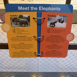 Meet the Elephants