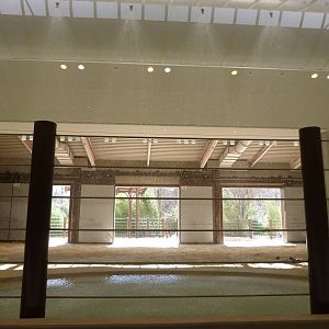 Misters in Elephant Pool