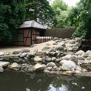 Sea-ducks enclosure - June 2012