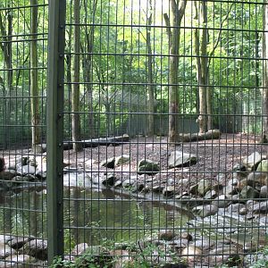 Aalborg Zoo - Brown bear exhibit